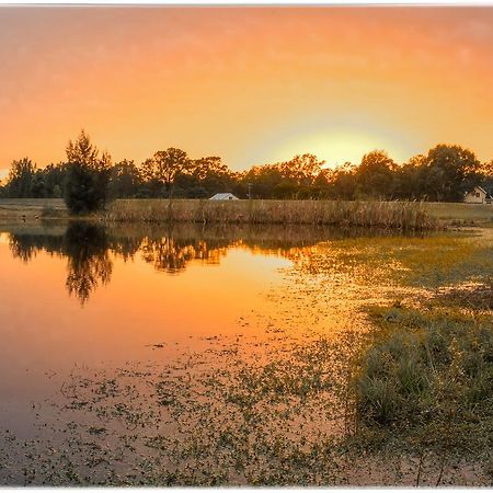 Madigan Wine Country Cottages ラブデール エクステリア 写真