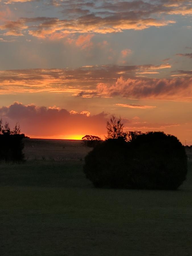 Madigan Wine Country Cottages ラブデール エクステリア 写真