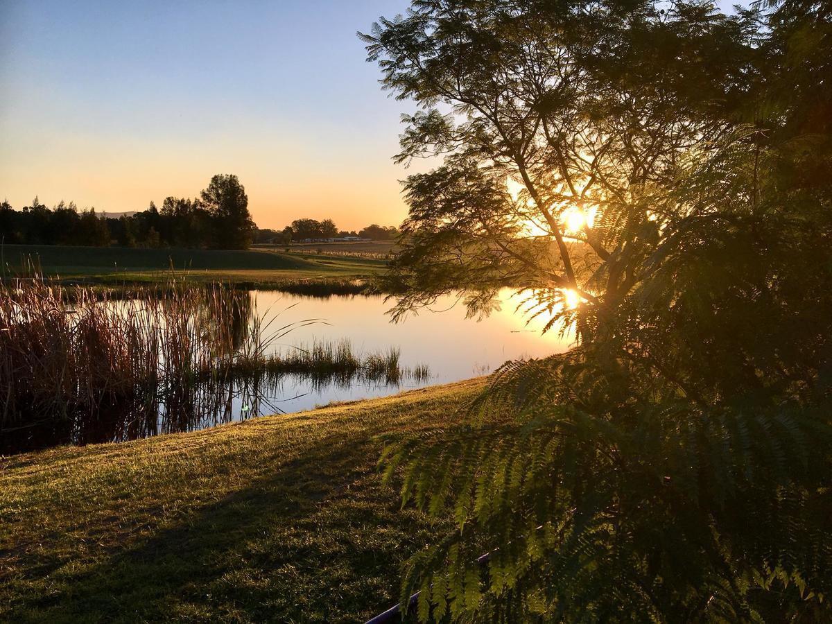 Madigan Wine Country Cottages ラブデール エクステリア 写真