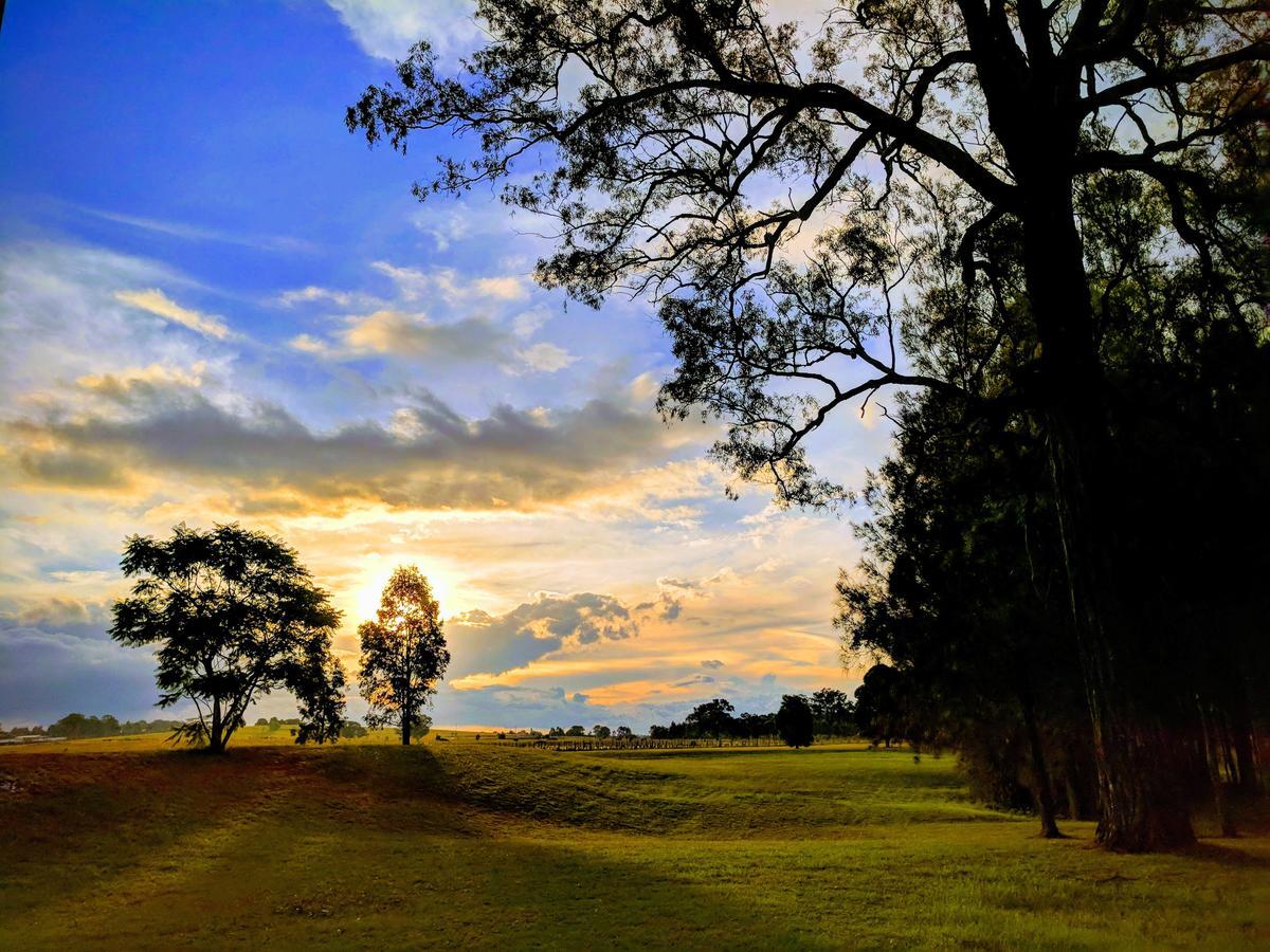Madigan Wine Country Cottages ラブデール エクステリア 写真