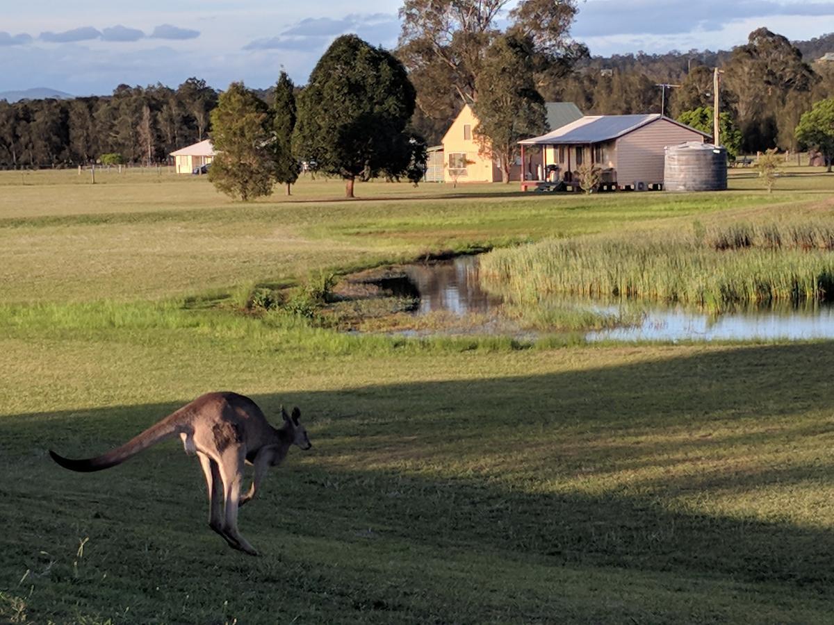 Madigan Wine Country Cottages ラブデール エクステリア 写真